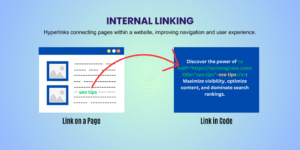 Internal and External Links